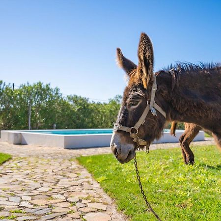 Burro Ville By Host Wise Portimão Kültér fotó
