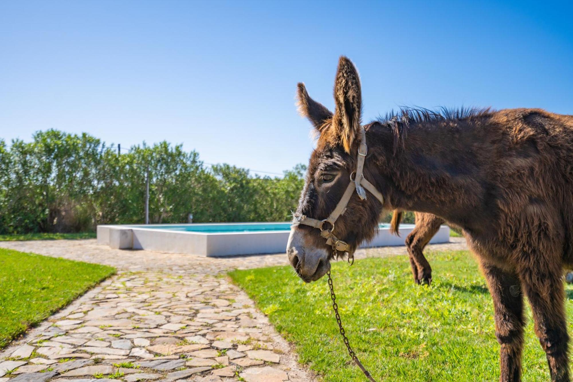Burro Ville By Host Wise Portimão Kültér fotó