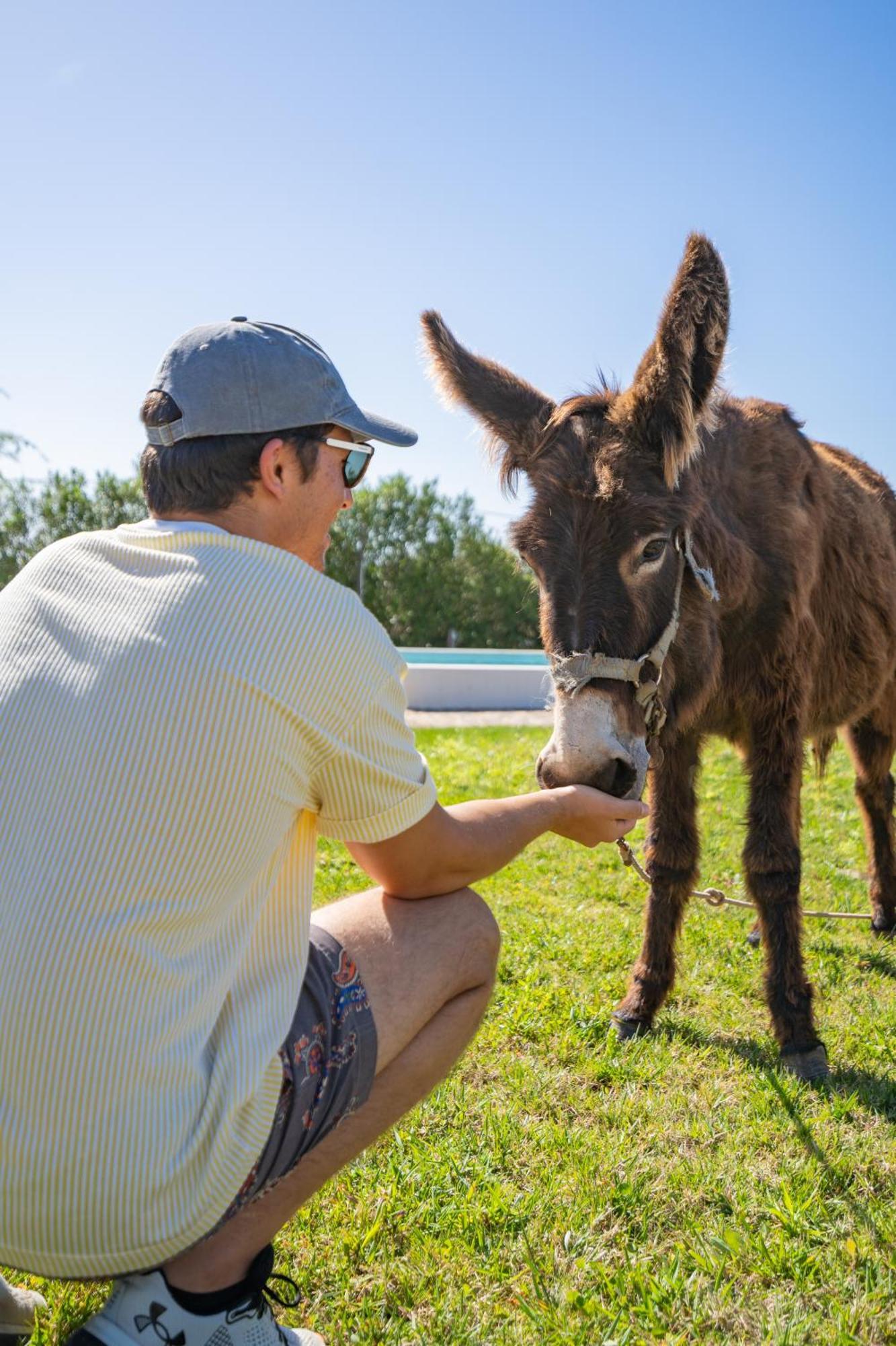 Burro Ville By Host Wise Portimão Kültér fotó