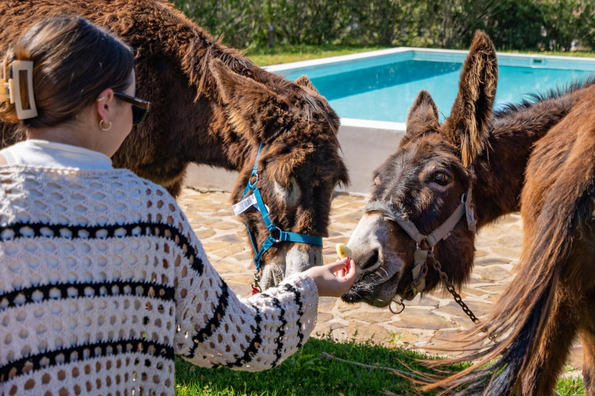 Burro Ville By Host Wise Portimão Kültér fotó