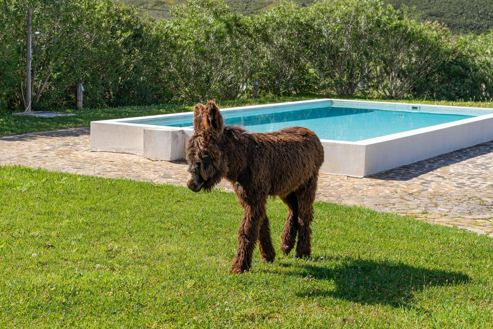 Burro Ville By Host Wise Portimão Kültér fotó